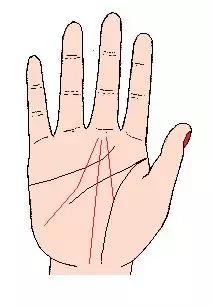 手相解密,手相掌纹分析学