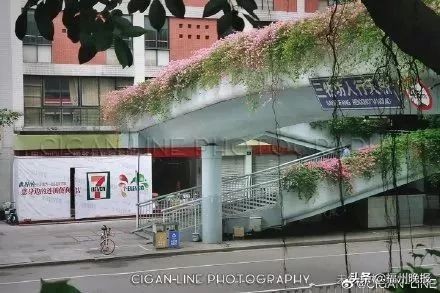 好消息！这个国际零售巨头，要在福州开第4家店了