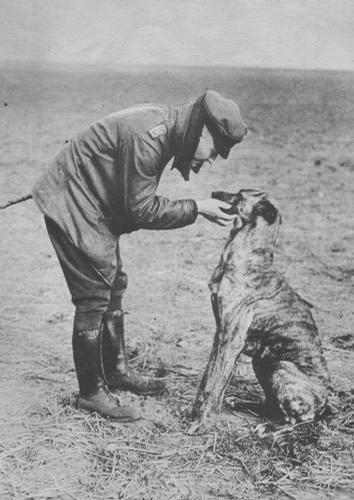 徐明新简介,新简介可以不发布日常吗