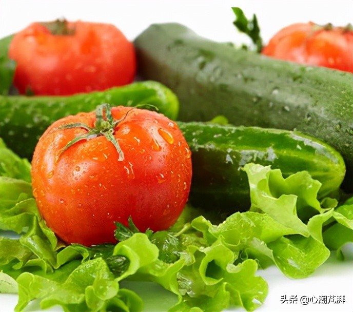 新房装修燃气灶推荐,家装超大煤气灶