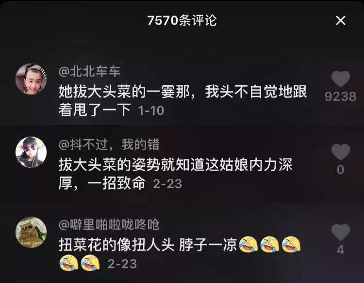 抖音全网第一名李子柒,李子柒抖音最火的女人