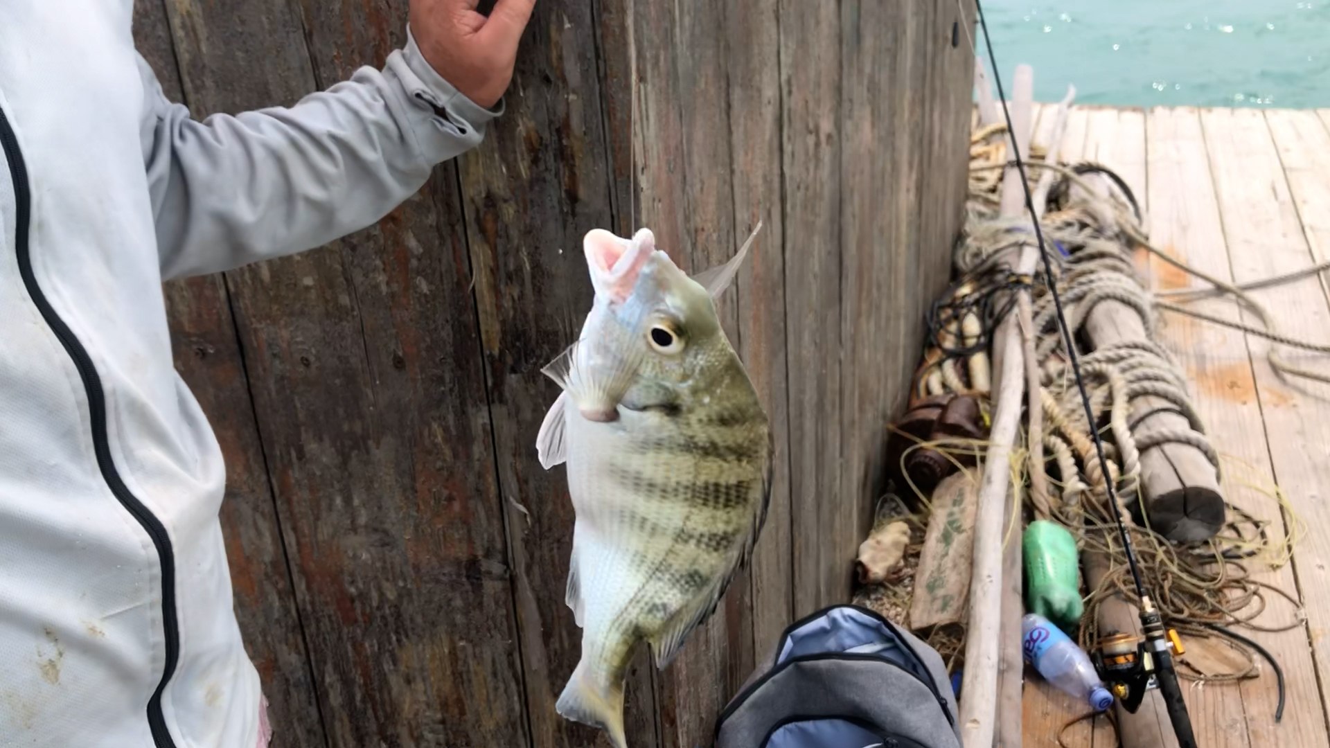 一个小伙钓鱼一年赚几十万,500块钱本钱钓鱼一个月能赚多少钱