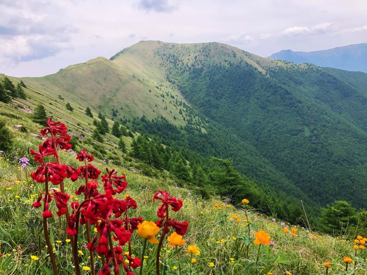 小五台山景区游玩攻略,小五台山快乐一日游
