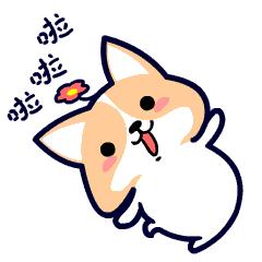 襄阳幼升小,襄阳幼升小多久查结果