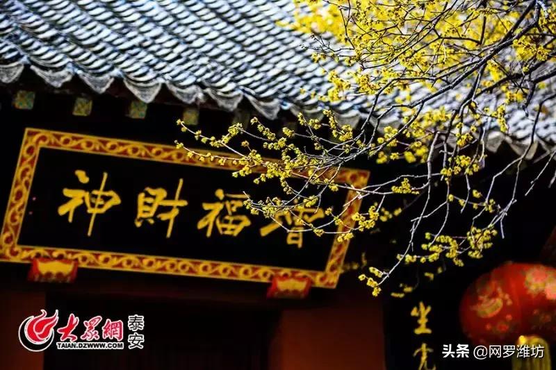 泰山风景区门票优惠到什么时候,泰山景区门票优惠政策介绍