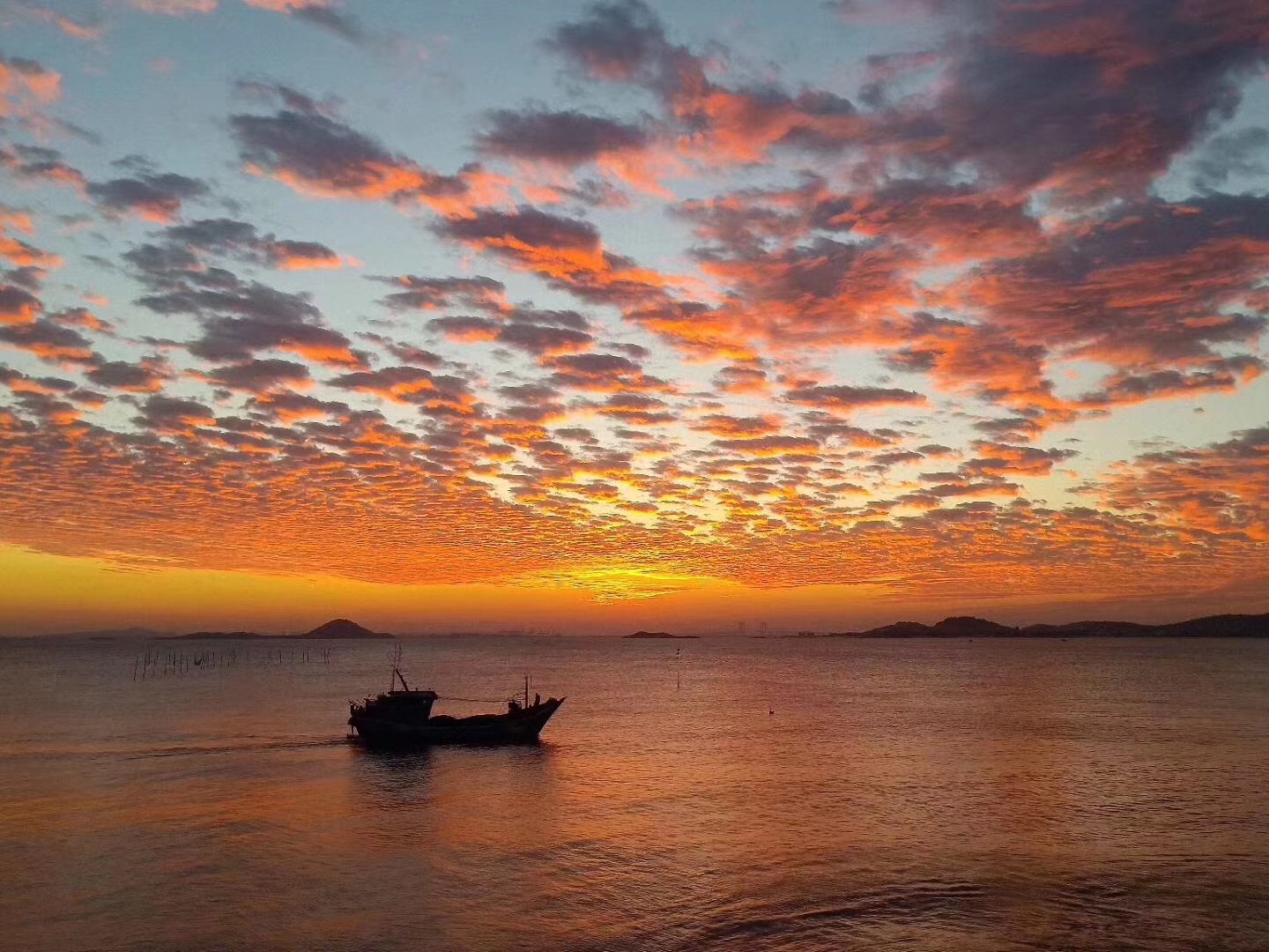 快收藏|昨日晚霞仙子跳起了霓裳羽衣舞惊艳了整个晋江朋友圈