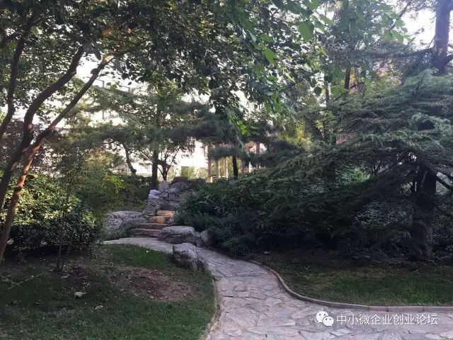 移动互联网入口,移动互联网入口之争