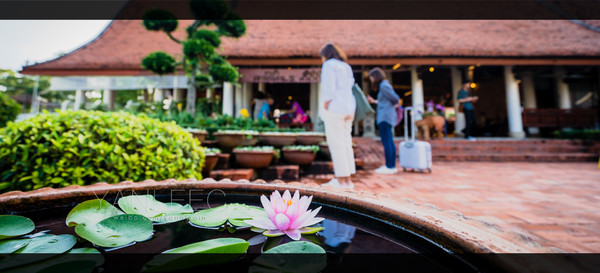 泰旅局发布2019年泰国旅游新玩法,曼谷漫游攻略