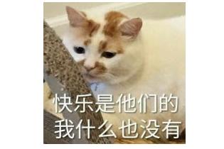 狼人杀桌游基础版,学校玩的狼人杀桌游