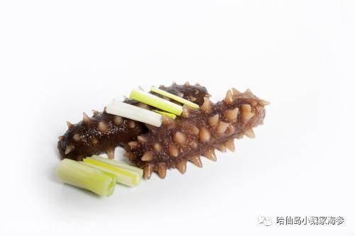 海参怎样吃才能发挥其最大化作用,海参的皮有营养还是筋有营养