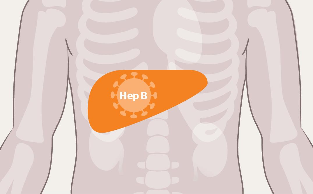 乙肝患者肝功能正常头晕四肢无力,肝功能正常但是感觉疲惫乏力