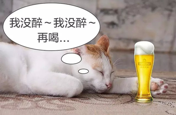 快递小加盟商把酒言欢论总部