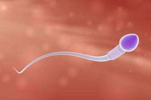 前向运动精子3.8%是不是要做试管,精子前向运动12.5%可以做试管吗