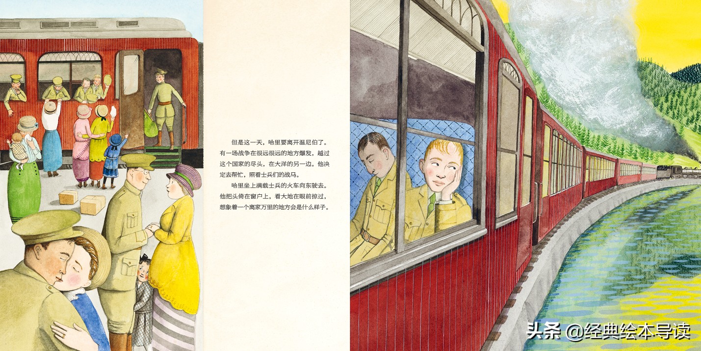 一只世界著名小熊的真实故事——《寻找维尼》导读