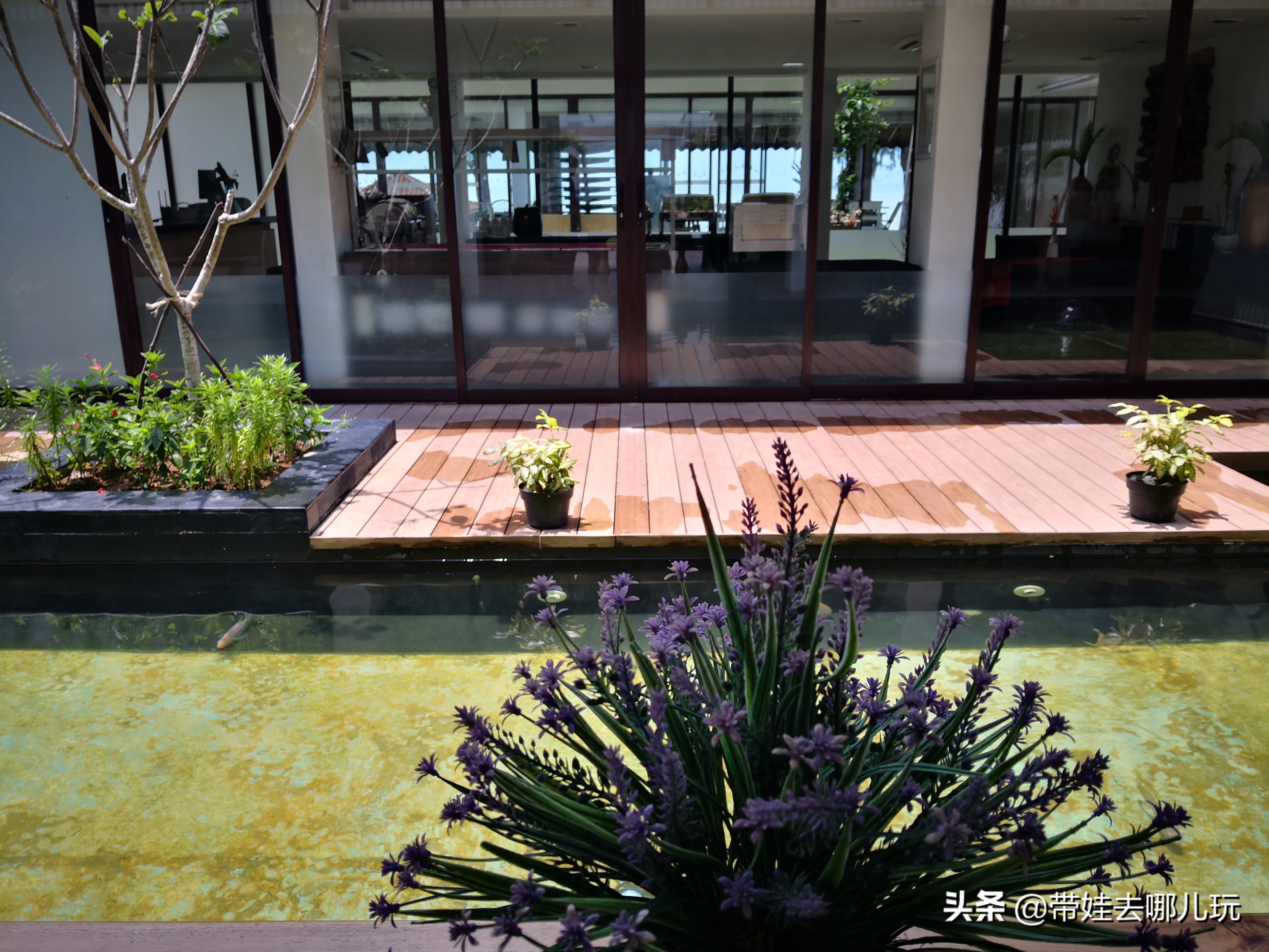 新加坡民丹岛值得一游,新加坡巴淡岛和民丹岛