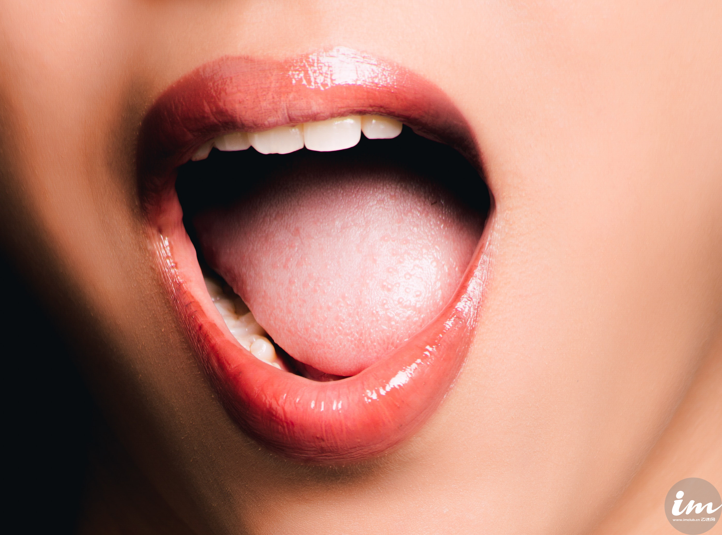 hifi解析哈曼卡顿,hifi科普