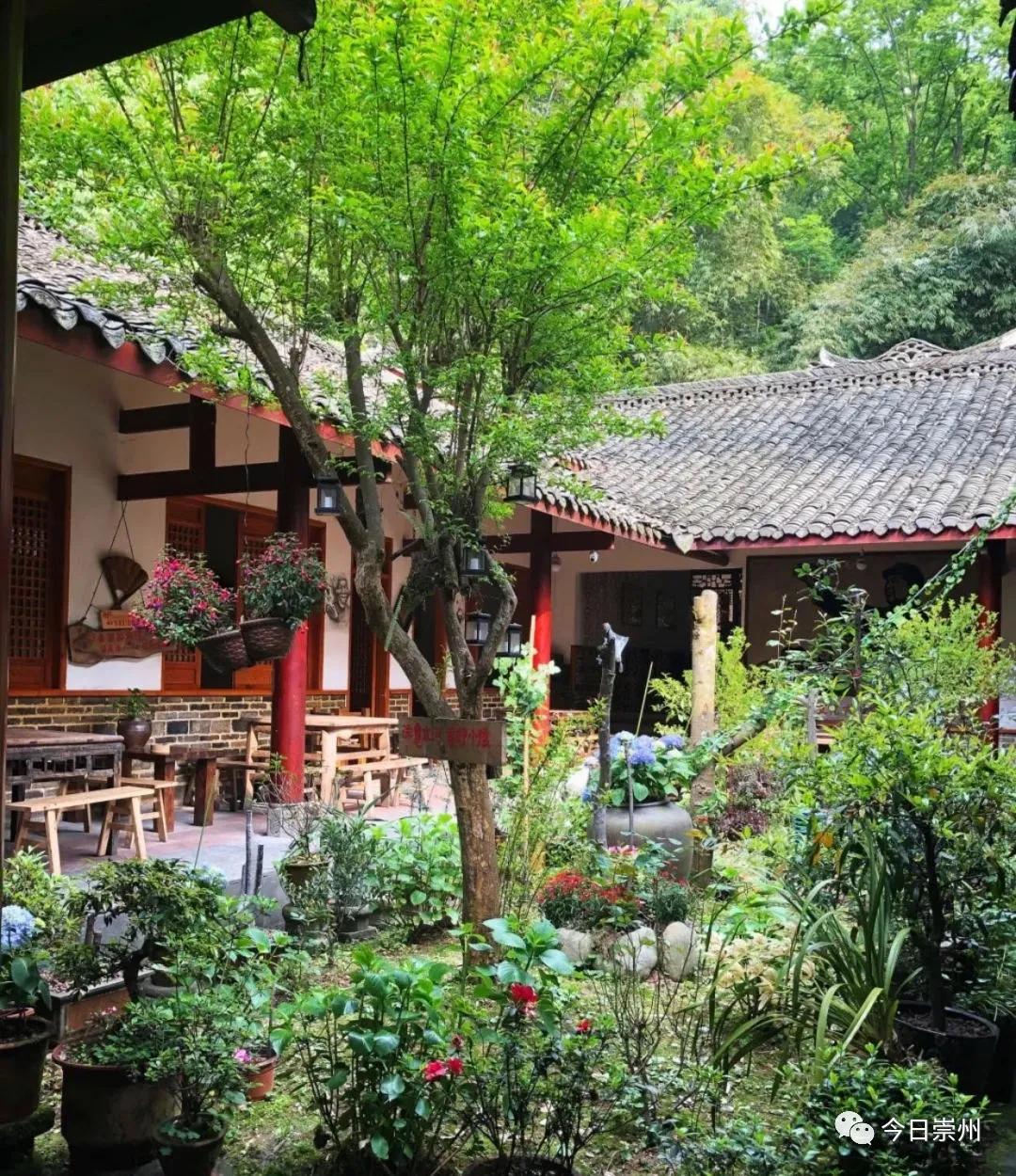 崇州粉蒸肉哪家好吃,崇州味道