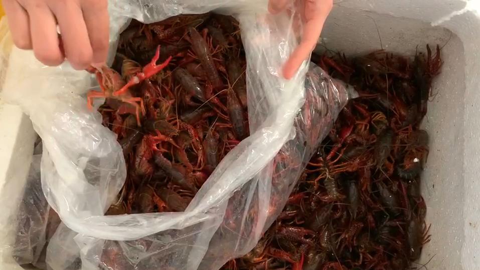 夏天，碰到此肉别手软，一次性买30斤，放冰箱冻起来，特省事