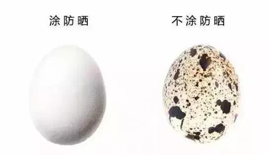 好用的夏天防晒霜推荐哪款,一年四季都可以用的防晒霜推荐