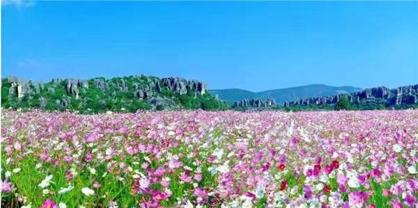 昆明七日游旅游路线推荐攻略大全,昆明欢乐三天两夜旅游攻略