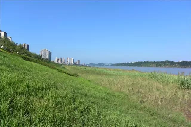 宜宾南溪区哪年设区,宜宾最有可能撤县设市的地方