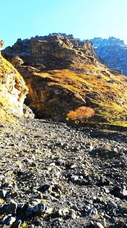 带上UL从狼塔C回家