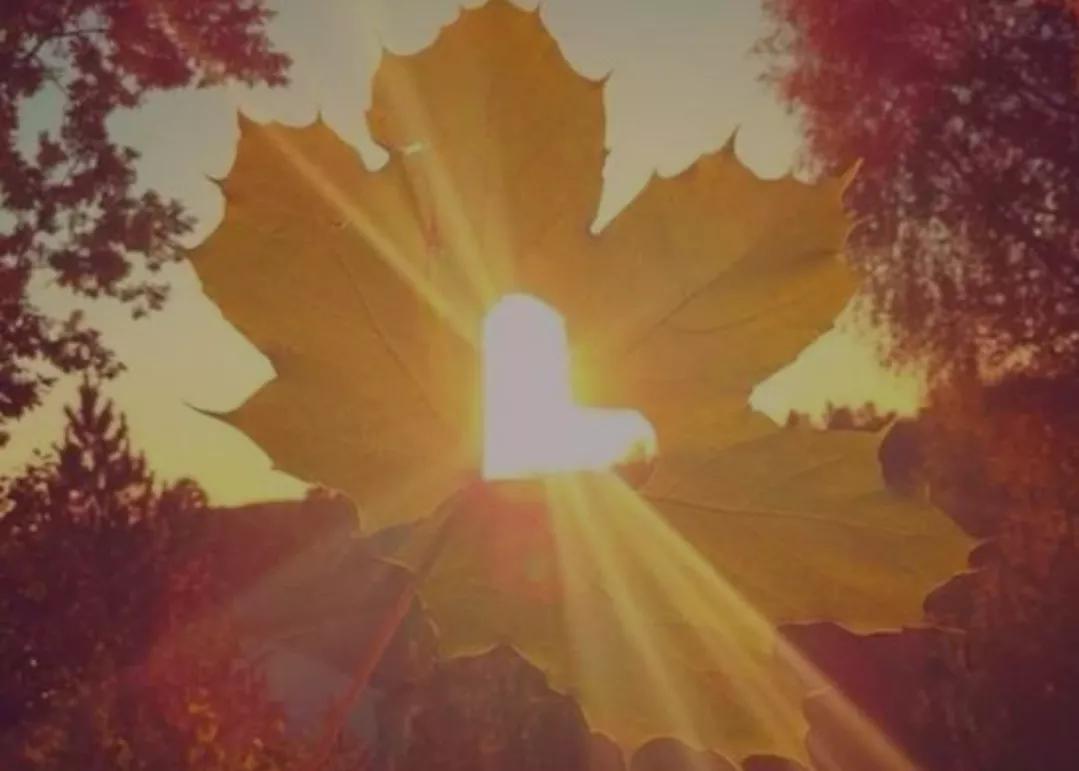 双手合十愿你心无挂碍平平安安,双手合十愿你安好