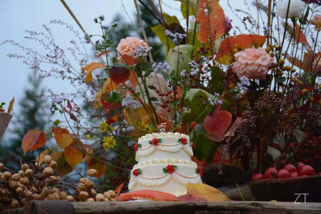 90后男孩住进郊区老屋，徒手打造400㎡自然花园，里面装满小精灵