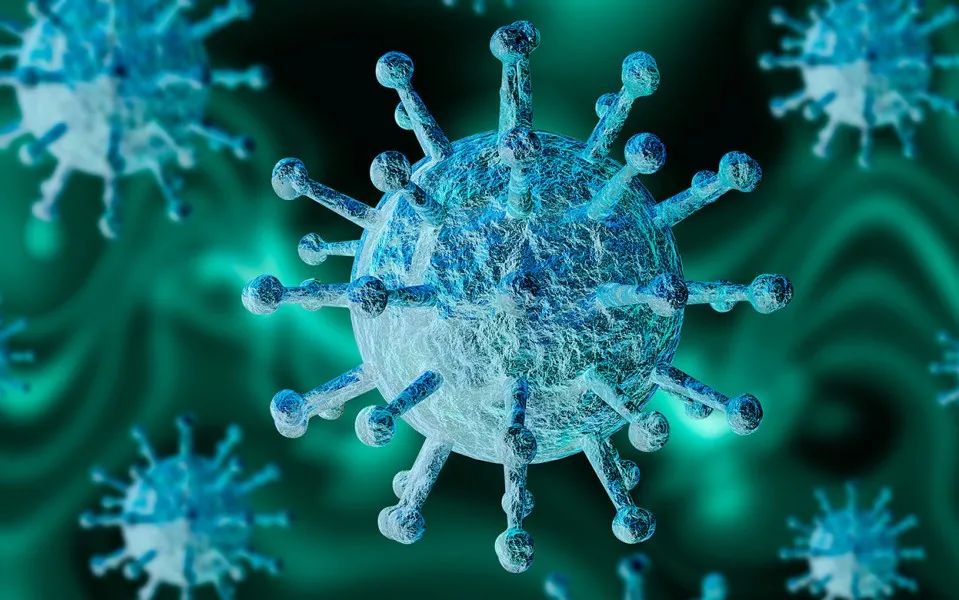 从抵抗细菌到对抗病毒：小小益生菌，拥有大力量