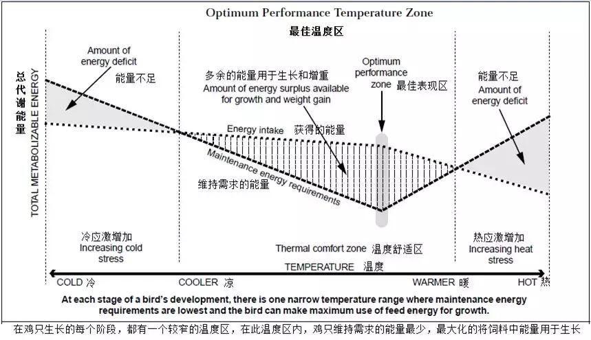 「连载一」吕品：秋冬季饲养管理要点之“生物安全与温度管理”