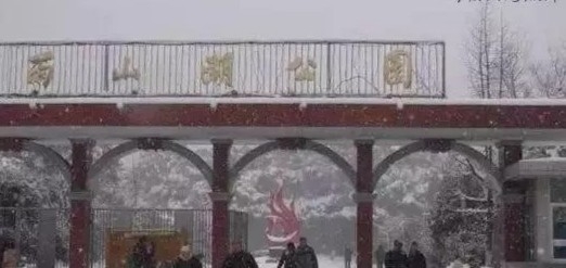 马鞍山九村小学老照片,马鞍山向山老照片