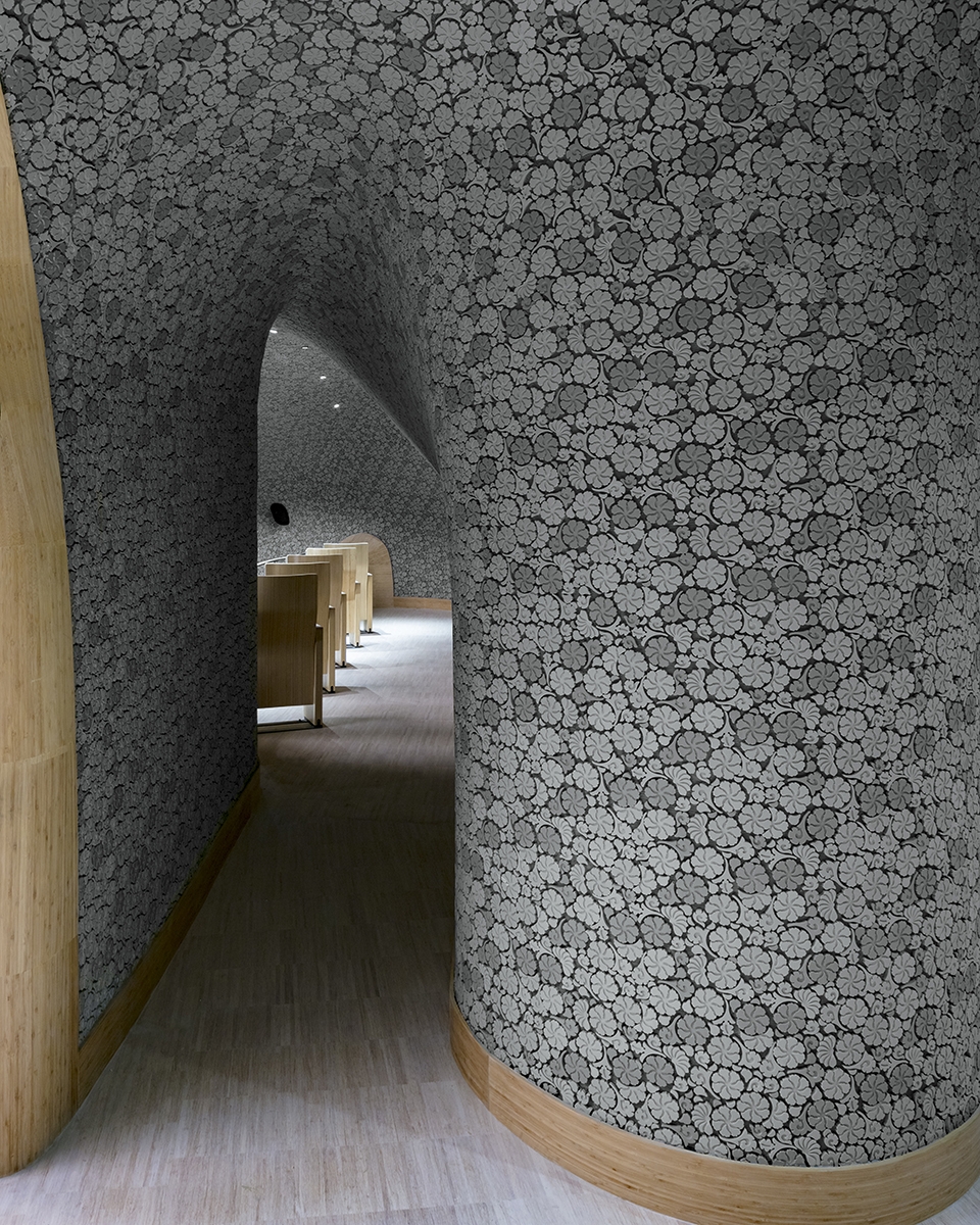 海峡艺术中心茉莉花,福州海峡文化艺术中心晚霞