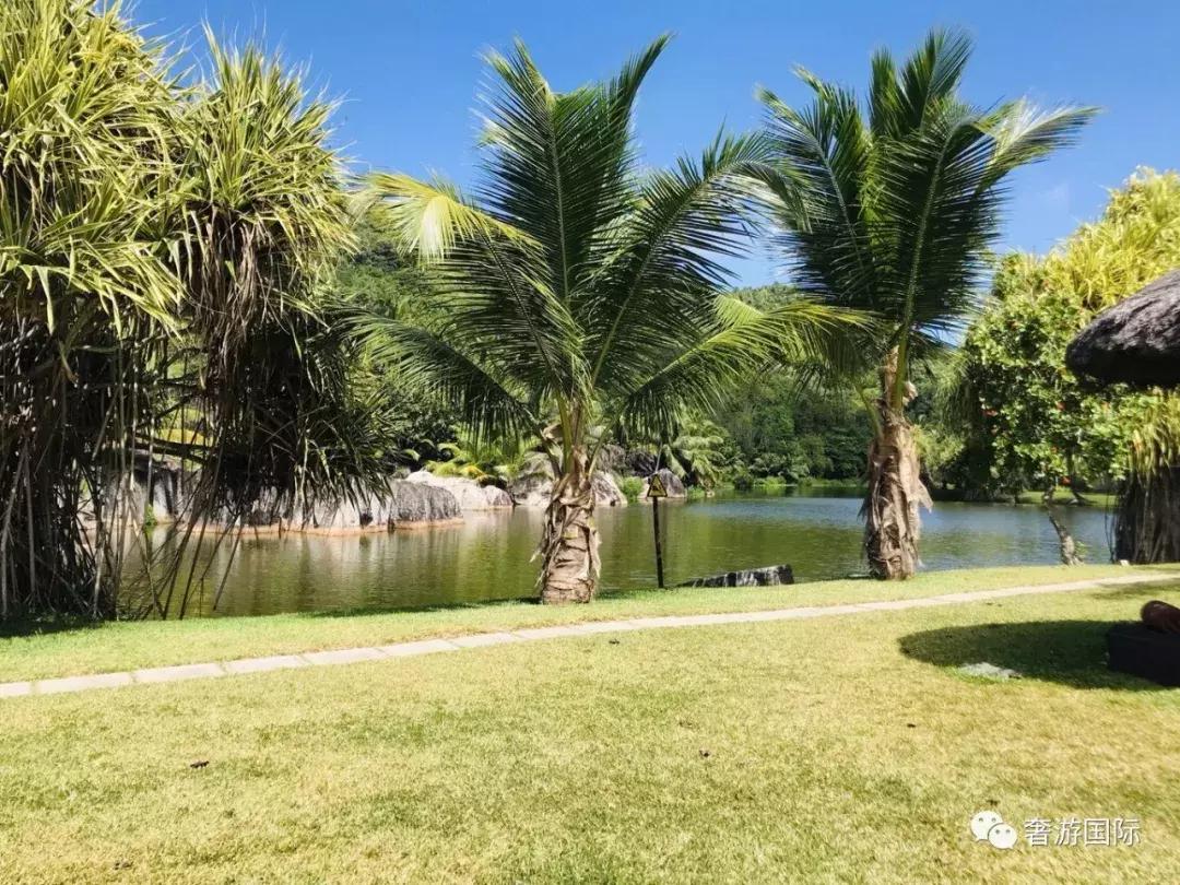 大溪地和塞舌尔岛哪个漂亮,和大溪地齐名的海岛