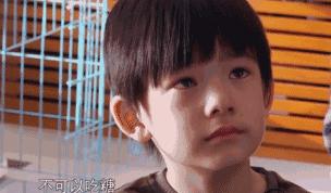 董洁向太,董洁和向太