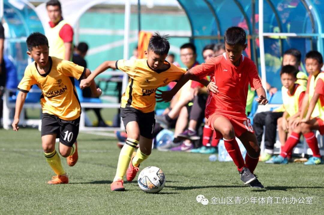 十六区青少年足球培训,平桥区青少年足球训练