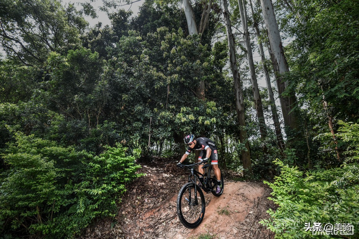 林道山地车捷安特,捷安特林道硬尾山地车推荐
