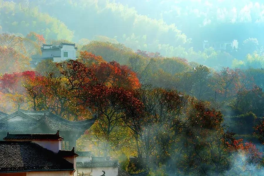 新安江山水画廊景区打卡景点,新安江山水画廊景区九砂晒秋节