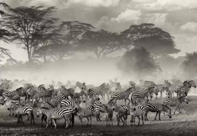 肯尼亚最值得去的地方,肯尼亚最值得去的二十个地方