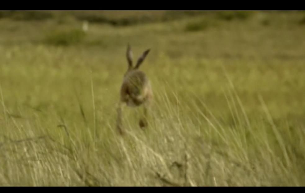 调音师看不见的客人类似电影,调音师和看不见的客人