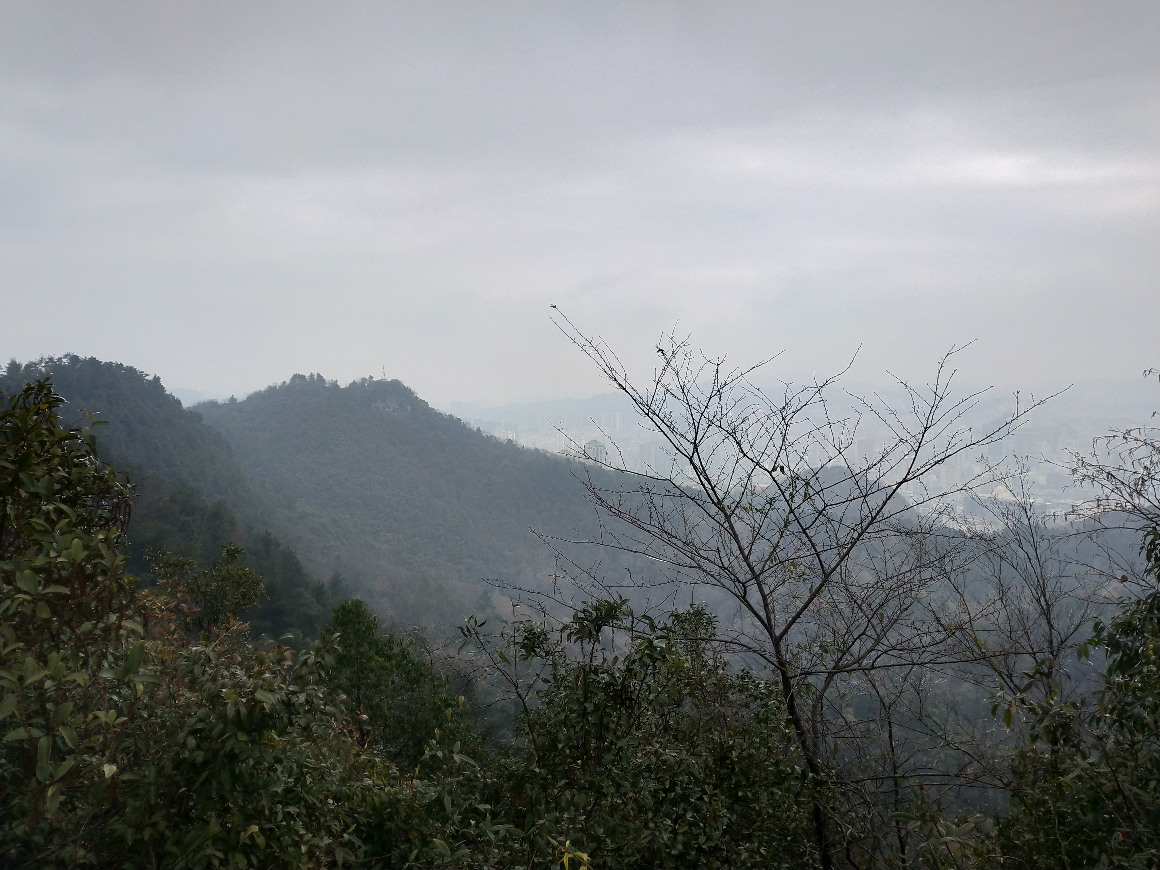 微游贵阳：深度玩透黔灵公园之自然风景