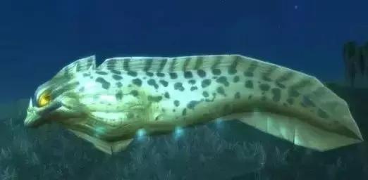 为什么电鳗放电不会电死自己,电鳗能电死一头牛是真的吗