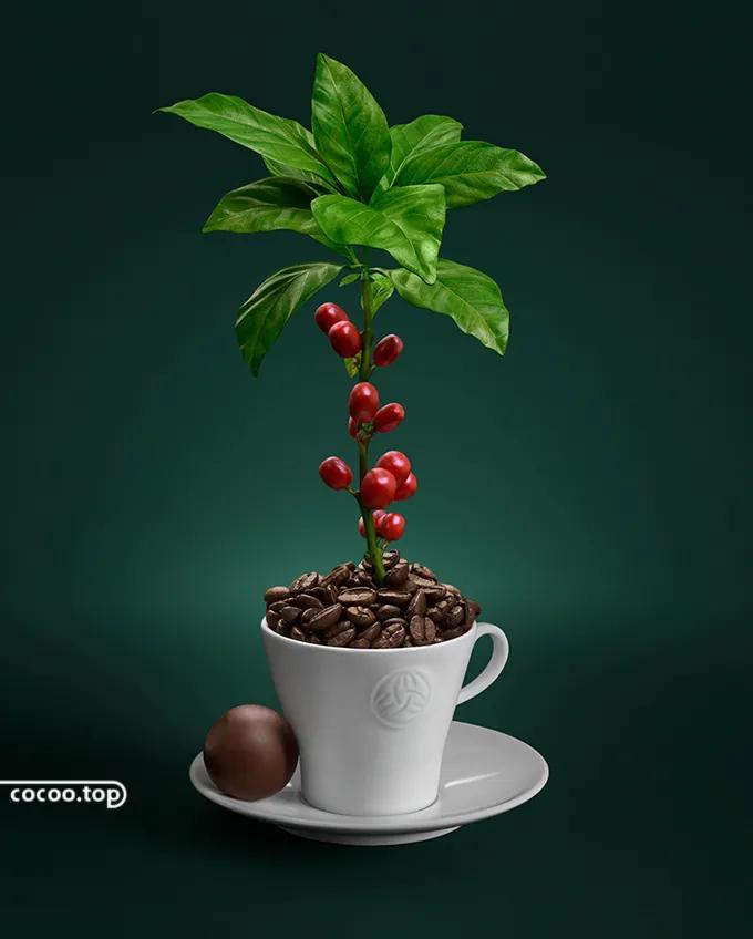 广告语打动人心的句子,打动人心的卖房广告语