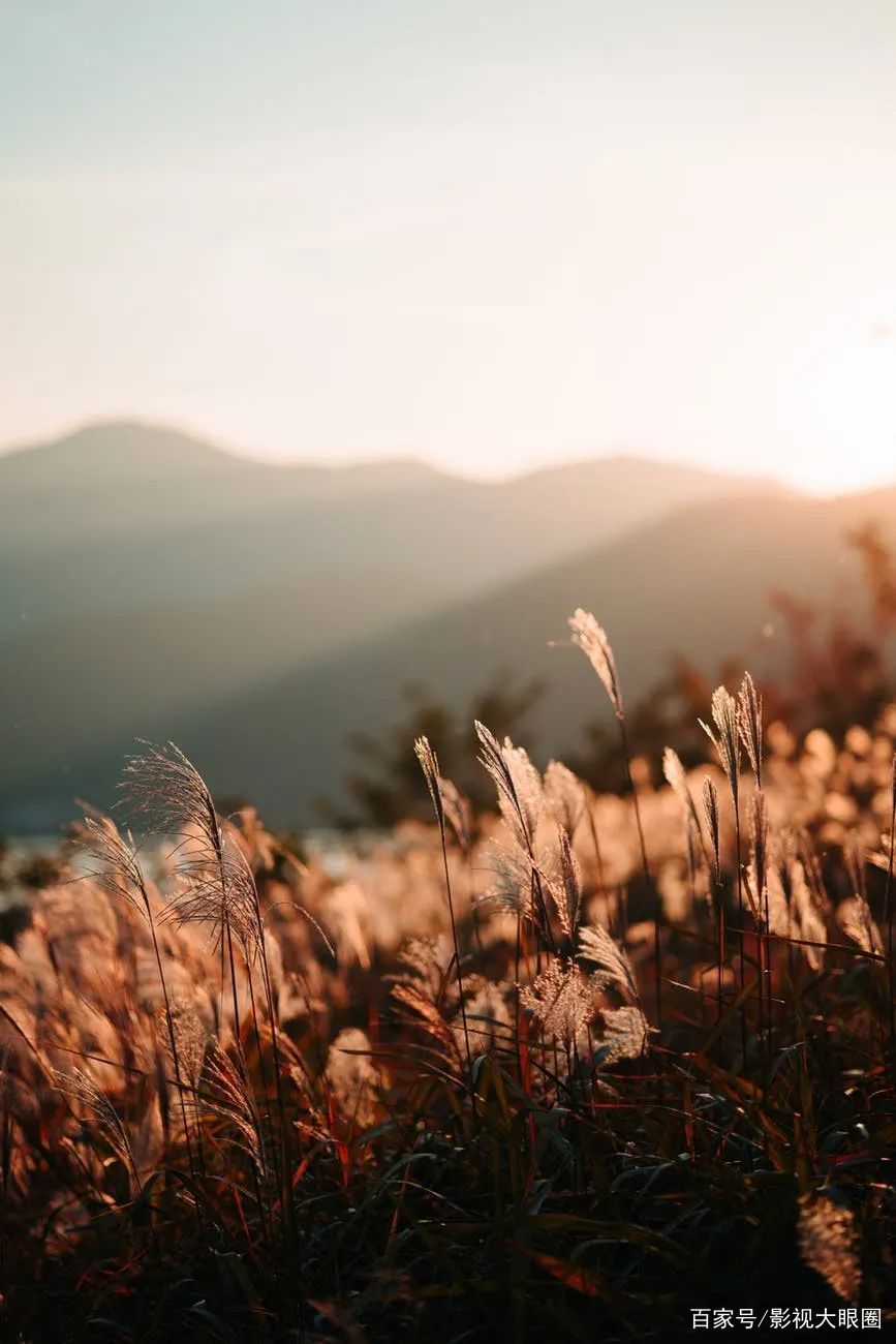 抖音最火的10首歌排行榜,40首抖音最火的歌