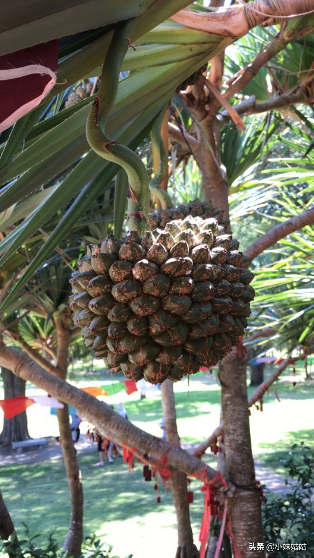 别动不动就让我买赚钱方法资料加入社群了