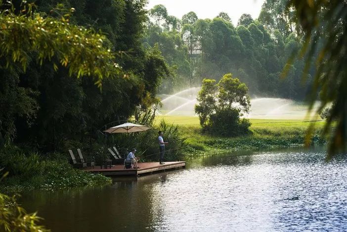 惠州候鸟水榕庄度假酒店攻略,惠州水榕庄waterlife别墅优惠团购