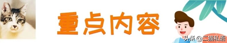 猫咪得了分离焦虑症，是什么引起的？铲屎官应该怎么办？