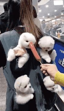 你有什么资格说爱我吗,你有什么资格说爱我完整版