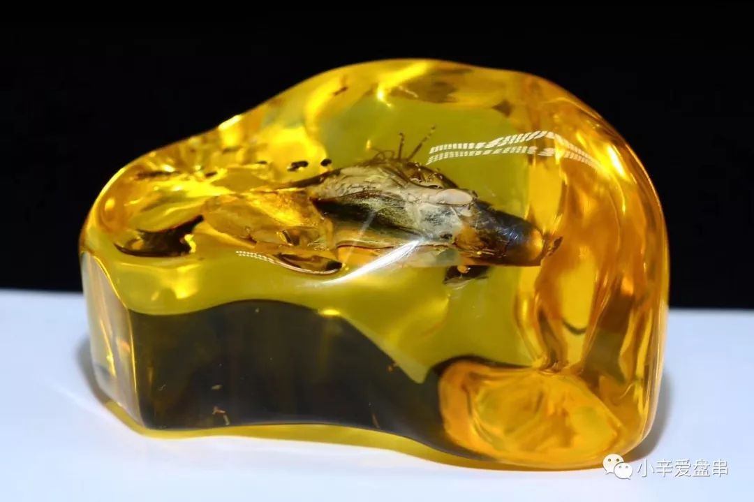 真琥珀蜜蜡跟假琥珀蜜蜡,怎样区分琥珀和蜜蜡的真假呢