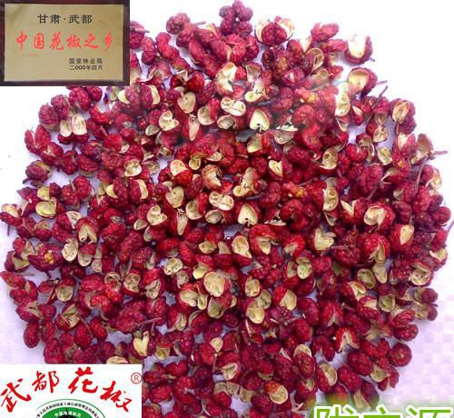 甘肃武都花椒种植技术,甘肃种植花椒的前景分析