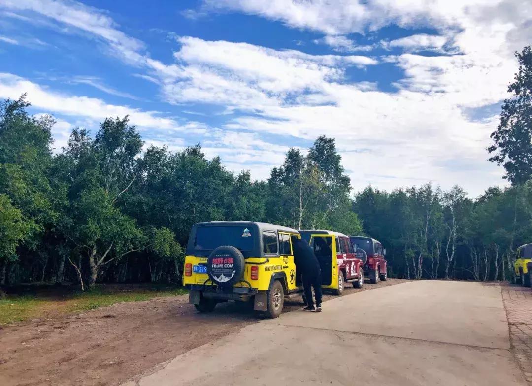 千松坝国家森林公园看云海,在万米的高空看云海